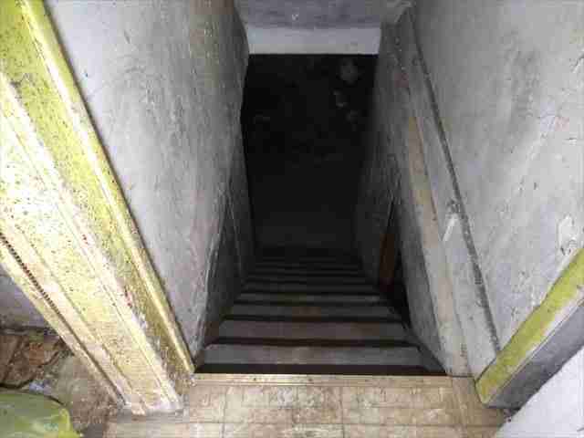 334478579 - Copy.jpg